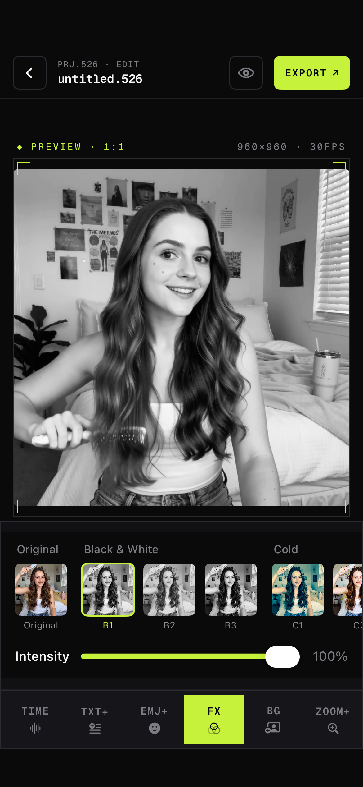 FX panel showing color filter thumbnails like Original, Black & White, Cold with intensity slider at 100%.
